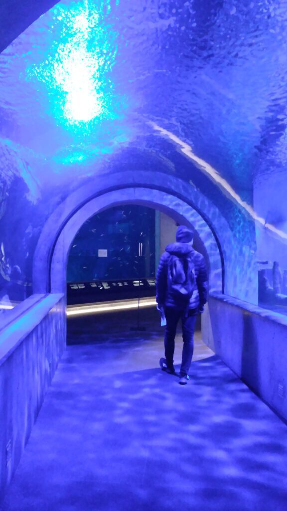 skansen水族館