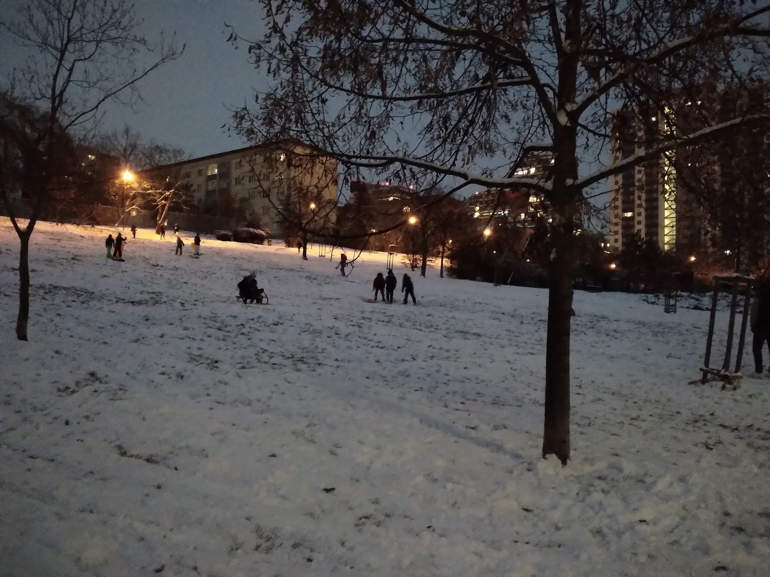 滑雪橇