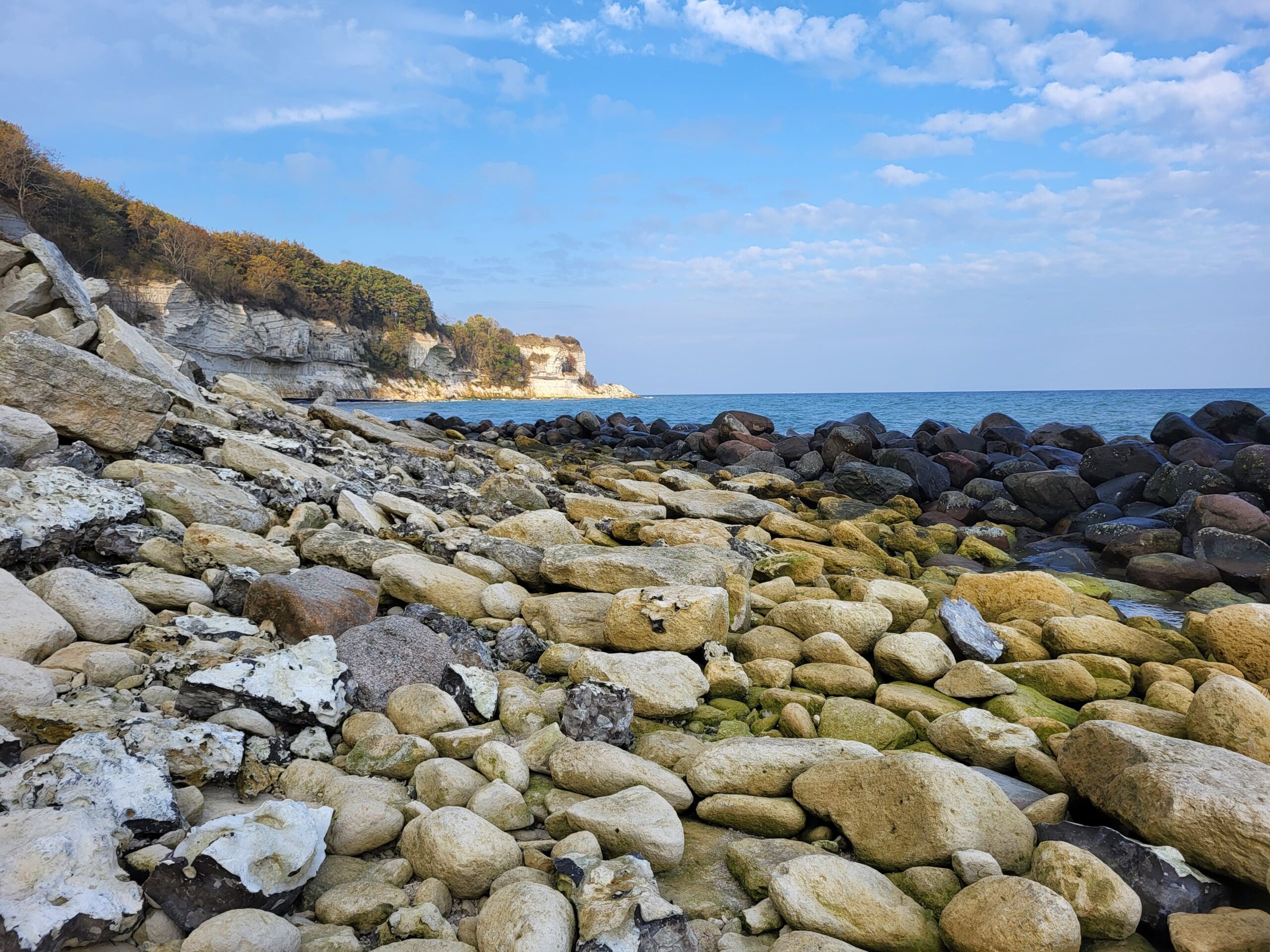 Stevns Klint